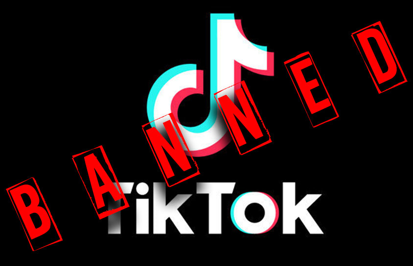 "TikTok Takedown" - The fascinating story of Tiktok's battle with Congress