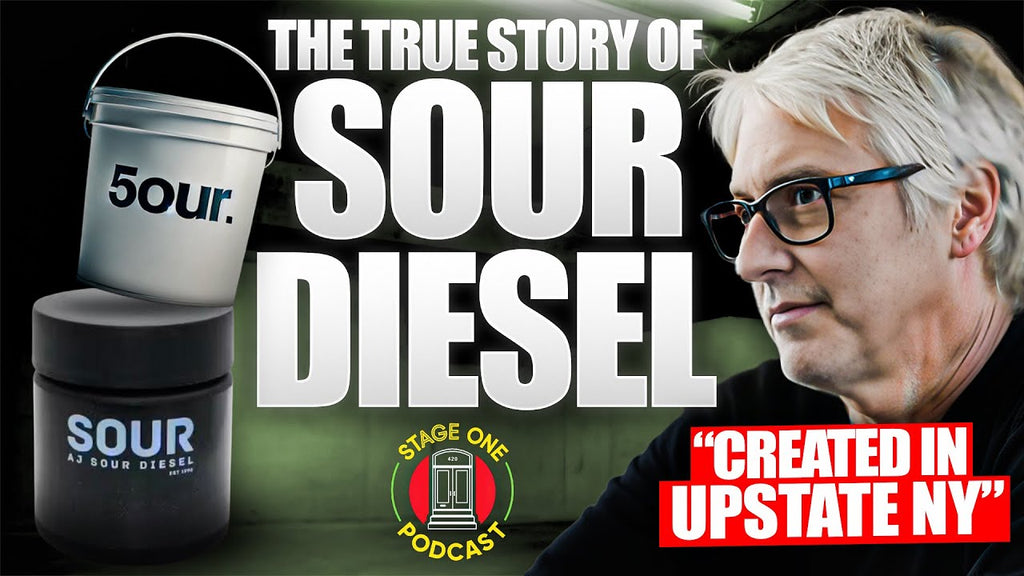 The Real Story of Sour Diesel: Its Creation, Name, and Sudden Disappearance / AJ Sour Diesel