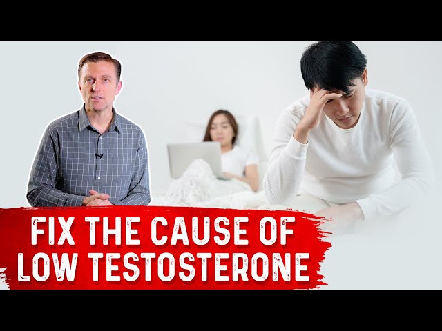 Why Men Today Have HALF the Testosterone of Their Grandfathers